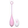 Uovo Vibrante Loving Joy con Telecomando e 10 Modi
