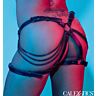 Arnés Muslo CalExotics Euphoria Catena Elegante