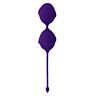 KarmyFit Kegel