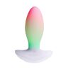 Vibratore Paradise Pleasure Products The Plug con illuminazione RGB