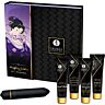 Kit coppia SHUNGA Geisha Naughty con lubrificante e gel