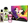 Kit fruttato Shunga Fruity Kisses per coppie