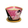 Candela da massaggio SHUNGA Mini Caress 170 ml