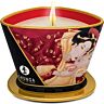 Vela da massaggio SHUNGA Mini Caress 170 ml