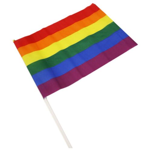 Articolo divertente PRIDE Banderin Grande con bandiera LGBT
