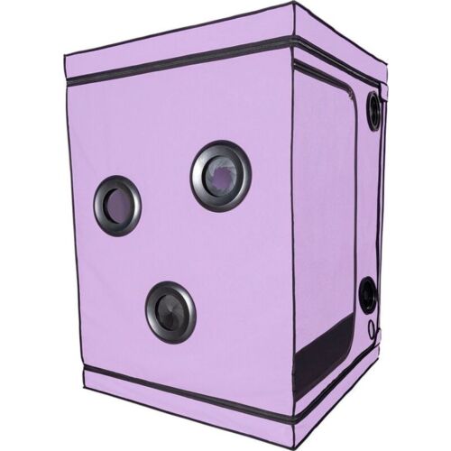 Articolo BDSM SECRET DOME SCANDALE - Esperienza immersiva