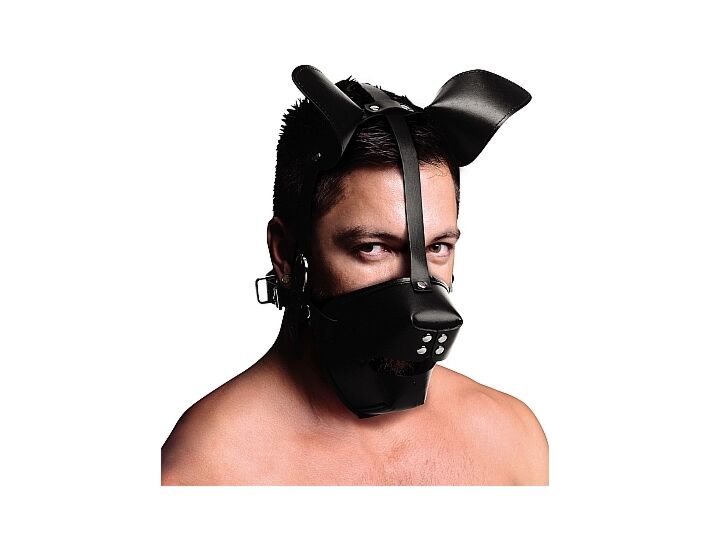 Cucciolo di cucciolo gioca maschera con bavaglio