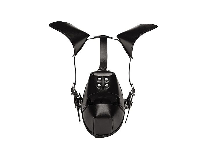Cucciolo di cucciolo gioca maschera con bavaglio