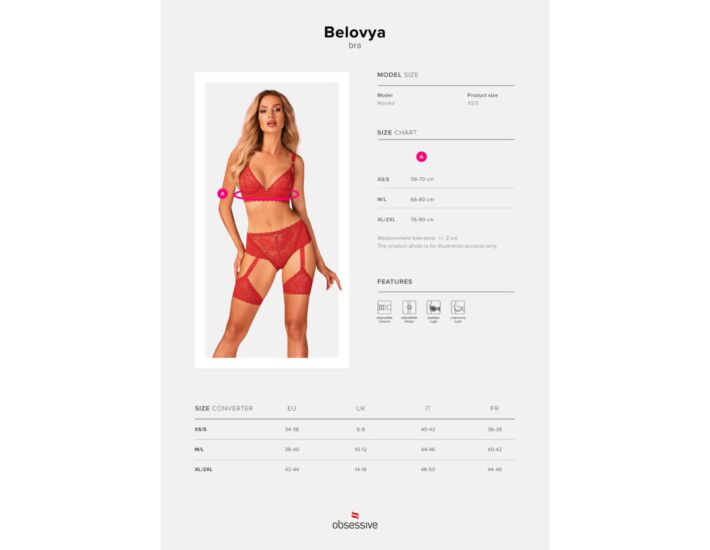 Reggiseno Seducente