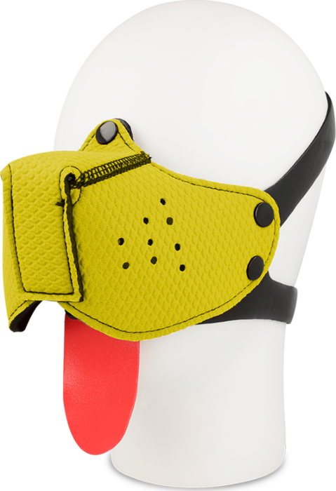 Museruola Gialla Ohmama Museruola Gialla Ohmama