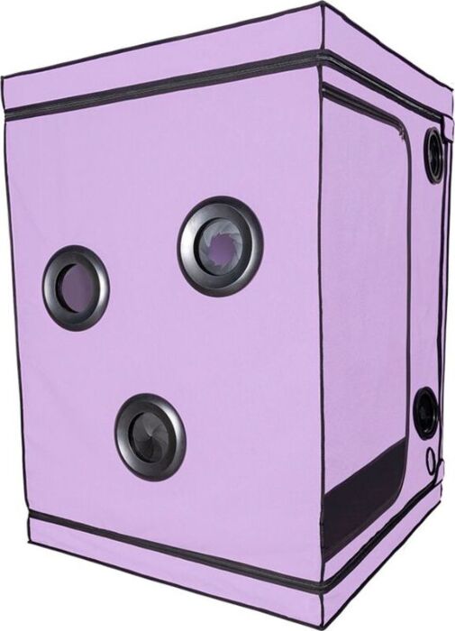 Cabina BDSM Secret Dome Scandale Morado - Esperienza Unica Cabina BDSM Secret Dome Scandale Morado - Esperienza Unica