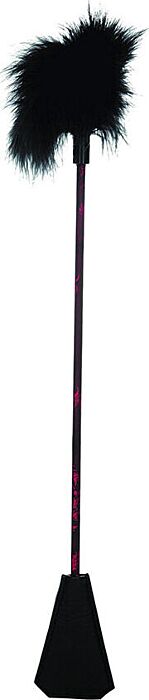 Frusta di pelle di piume