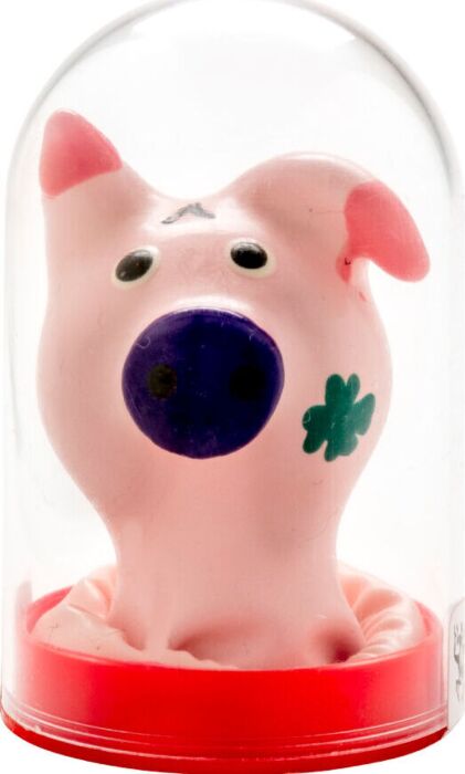 Preservativo Decorativo Condomerie Testa di Maiale