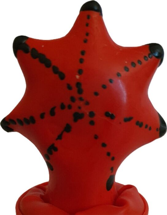 Preservativo Decorativo Condomerie Stella di Mare