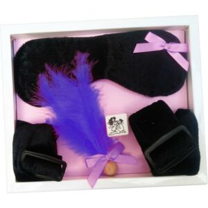 Kit Sensuale di Bondage Viola