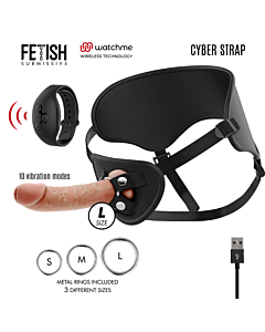 Arnes Cyber Control -> Controllo Cibernetico Harness