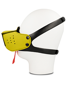 Museruola Gialla Ohmama