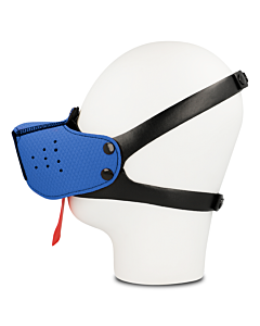 Museruola Blu Canine Control