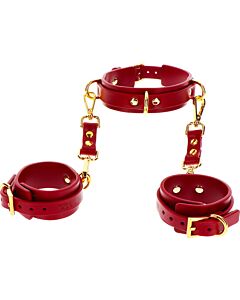 Taboom D-Ring & Polsini: Libertà Sensuale