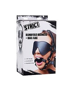 Pettorina con maschera e bavaglio