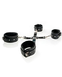 Fantasia della Moglie Dominatrice