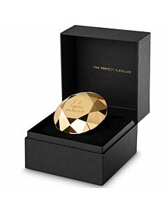 Gioielli indiscreti ventuno diamante vibrador