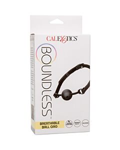 Bavaglio Trasparente