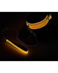 Collare e Guinzaglio Glow Arancione Dream Toys