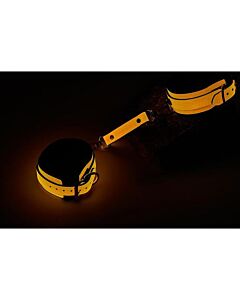 Cavigliere Brillanti Arancioni