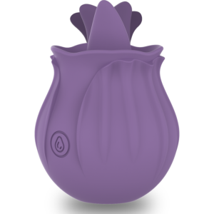 Guida Completa ai Sex Toys