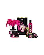 Shunga tocco di romanticismo