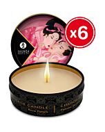 Candela massaggio Shunga petali di rosa 6 x 30 ml