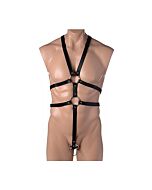 Corpo maschile rigoroso con imbracatura