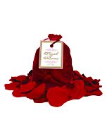 Scia di petali di rose rosse