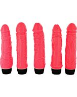 Kit di raccolta Casanova di 5 penne vibranti