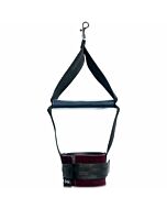 Esposizioni di sesso e malizia incantate