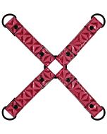 Legami peccaminosi di fissazione rosa