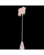 Frusta di pelle di piume