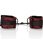 Set di scandali di mogli universali