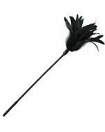 Schede sportive pluma tickler negra