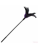 Fogli sportivi pluma starbust lila