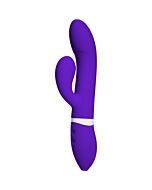 Ivibe seleziona icome morado