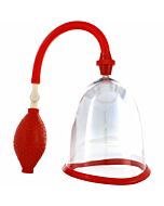 Sviluppatore di seni