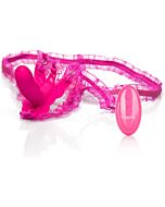 Pene remoto venus rosa