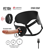 Arnes Cyber Control -> Controllo Cibernetico Harness