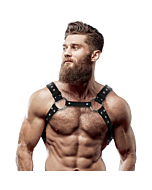 Arnese Sottomesso Borchiato