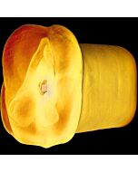 Apollo masturbador a doppia densità azul