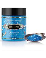 Meraviglie Acquatiche del Piacere