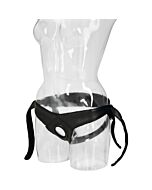 Donne universali premium arns