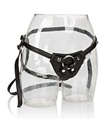 The Countess The Royal Harness